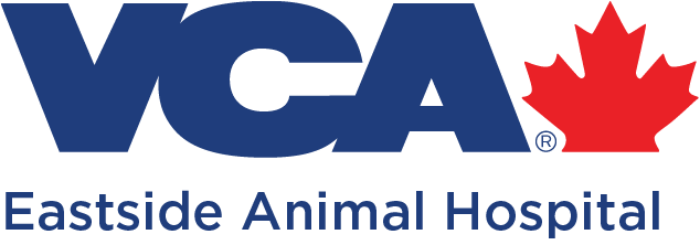 EASTSIDE ANIMAL HOSPITAL